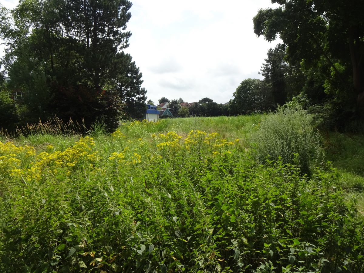 Brownfield Sonnenburghlaan Voorburg Vlietnieuws